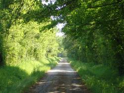 chambres d'h�tes th�venon montbrison forez loire