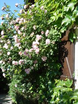 chambres d'h�tes th�venon montbrison forez loire